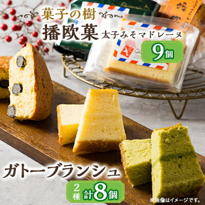 播欧菓〜太子みそマドレーヌ〜とガトーブランジュ詰め合わせ[配送不可地域:離島]