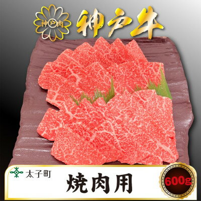 神戸牛 TSY2 焼肉用 600g[配送不可地域:離島]