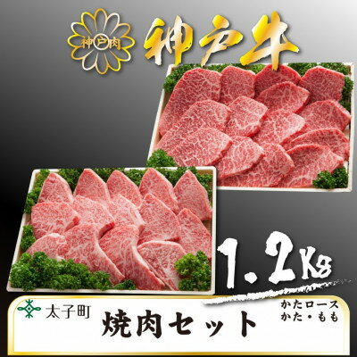 神戸牛 TSYS5 焼肉用セット 合計 1200g[配送不可地域:離島]