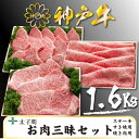 【ふるさと納税】神戸牛 TSLS10 お肉三昧セット 合計 1600g【配送不可地域:離島】【1509937】