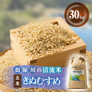【ふるさと納税】令和7年度 揖保川の清流米(きぬむすめ30kg)【玄米】【1643288】