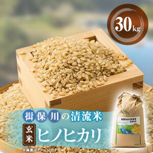【ふるさと納税】令和7年産 揖保川の清流米(ヒノヒカリ30kg) 【玄米】【1643298】