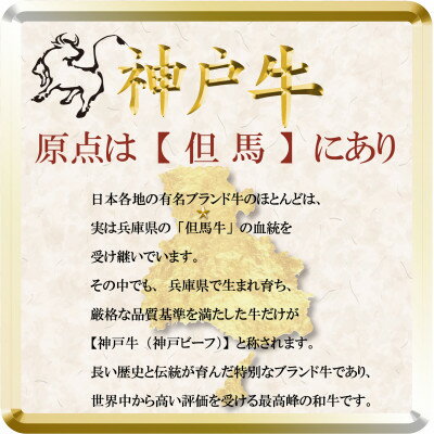 【ふるさと納税】訳あり 神戸牛 切り落とし肉 400g×2 計800g TSS1-2 【2026年4月より順次発送】【配送不可地域：離島】【1682620】
