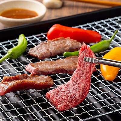 神戸牛 おまかせ焼肉セット 400g 兵庫県産[配送不可地域:離島]