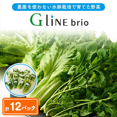 【ふるさと納税】【毎月定期便】G Line brio レタス12パックセット全3回【配送不可地域:離島】【4056843】