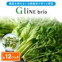 【ふるさと納税】【毎月定期便】G Line brio レタス12パックセット全6回【配送不可地域:離島】【4056844】