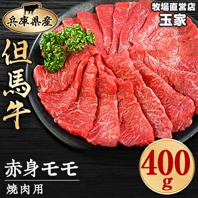 【2023年3月上旬発送】兵庫県産但馬牛 赤身 焼肉用 400g【配送不可地域：離島】【6486331】