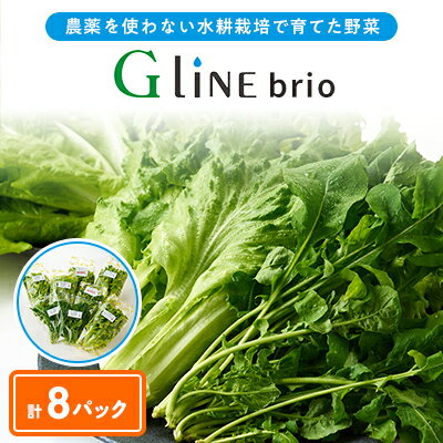 【ふるさと納税】G Line brio レタス8パックセット【配送不可地域：離島】【1121142】