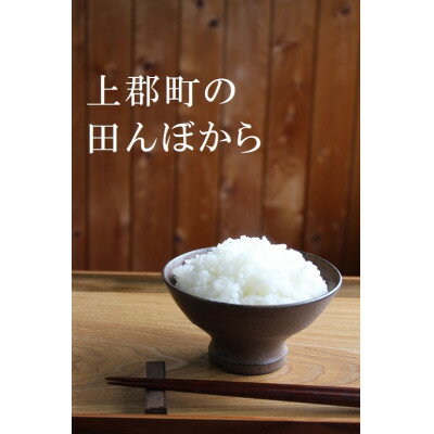 【令和5年産】コシヒカリ 精米10kg(5kg×2袋)【1335646】