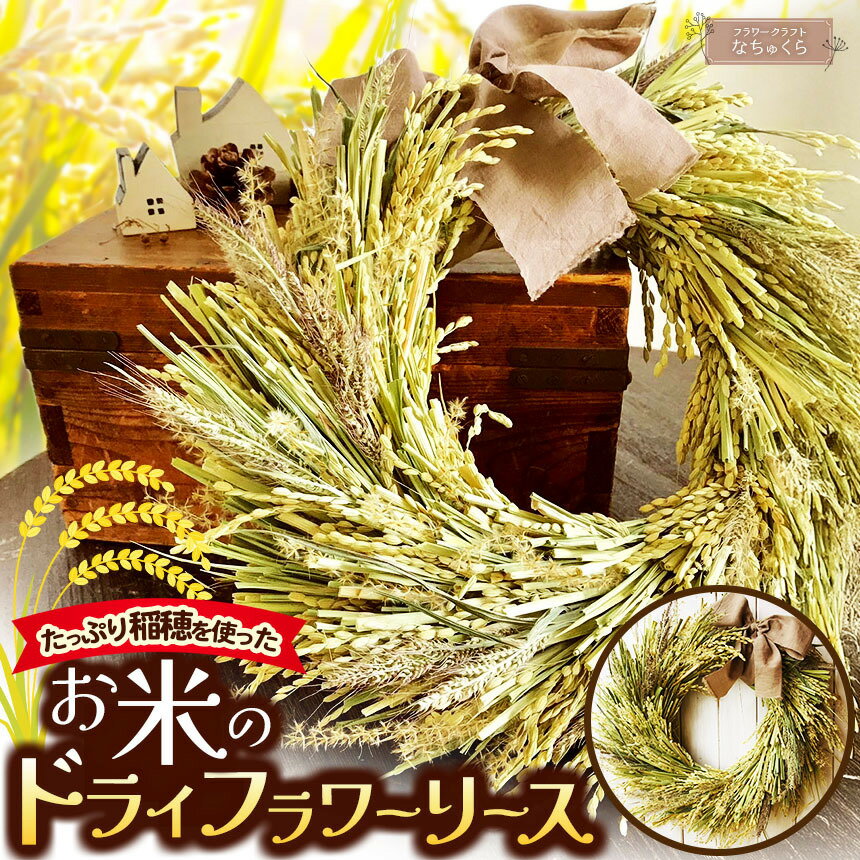 【ふるさと納税】 珍しい【お米がメイン!】のドライフラワーリース | 稲穂 稲 ドライフラワー ドライフラワーリース リース アレンジメント 兵庫県 上郡町
