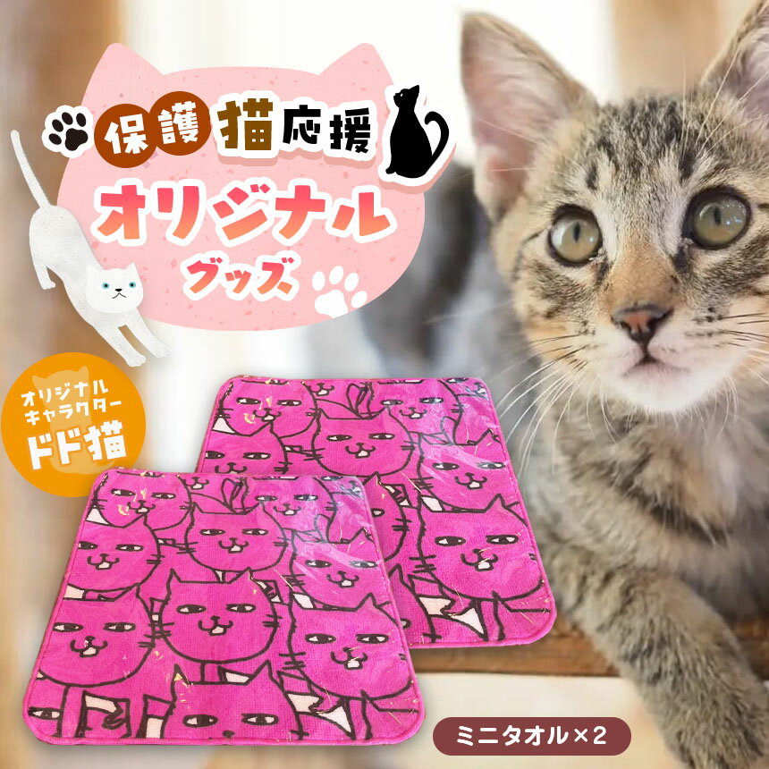 オリジナル 猫ミニタオル(2枚入り) | 猫 ミニタオル ミニ タオル 兵庫県 上郡町 保護猫