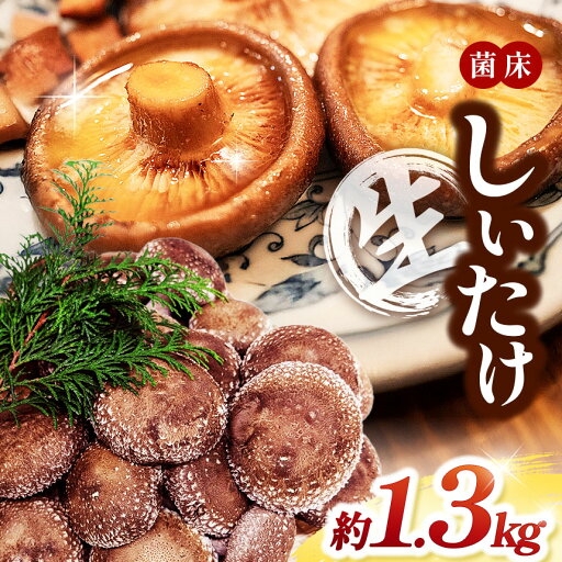 【ふるさと納税】 菌床生しいたけ 約1.3kg | しいたけ シイタケ 椎茸 きのこ キノコ 茸 兵庫県 上郡町 【ふるさと納税】 菌床生しいたけ 約1.3kg | しいたけ シイタケ 椎茸 きのこ キノコ 茸 兵庫県 上郡町