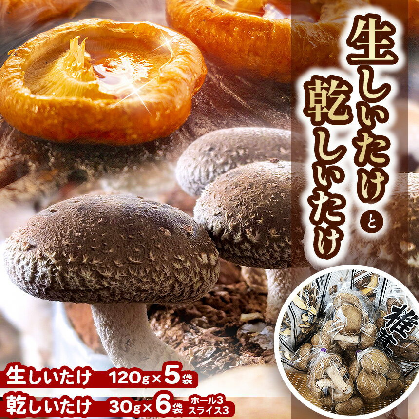 ڤդ뤵Ǽǡ  120g5  30g6 ( ۡ3  饤3 ) |   ...