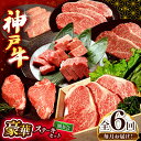 【ふるさと納税】 【毎月定期便】神戸牛ステーキ 豪華 頒布会 全6回定期便 | ステーキ サーロイン ヘレステーキ もも モモ ロース ミニステーキ カタロース...