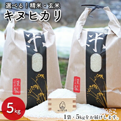 [兵庫県佐用町産]さよひめ営農のお米 5kg キヌヒカリ 精米/玄米 [ 米 キヌヒカリ 精米 玄米 選べる ごはん 美味しい 国産 ブランド米 健康 おにぎり ]