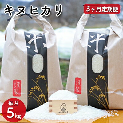 【ふるさと納税】【3ヵ月定期便】兵庫県佐用町産 お米 5kg×3ヵ月（計15kg）キヌヒカリ 精米　【定期便・ 米 キヌヒカリ 精米 ごはん 美味しい 国産 ブランド米 健康 おにぎり 産直品 】