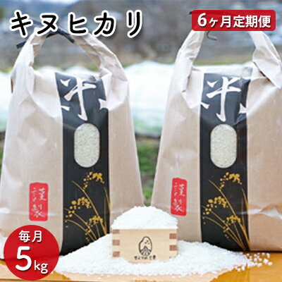 【ふるさと納税】【6ヵ月定期便】兵庫県佐用町産 お米 5kg×6ヵ月（計30kg）キヌヒカリ 精米　【定期便・ 米 キヌヒカリ 精米 ごはん 美味しい 国産 ブランド米 健康 おにぎり 産直品 】