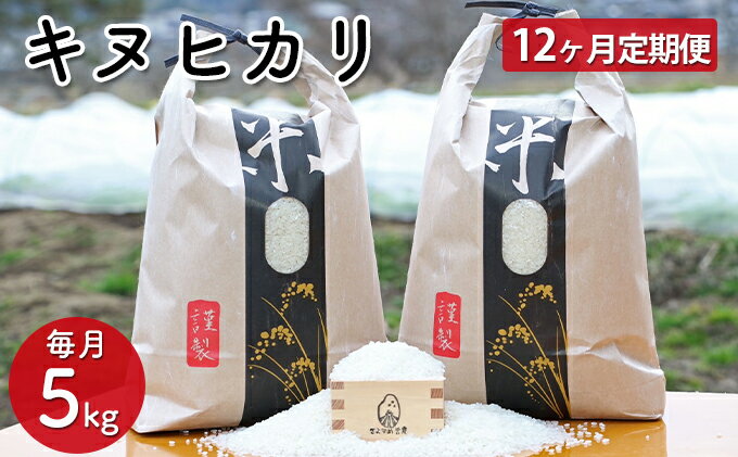 【ふるさと納税】【12ヵ月定期便】兵庫県佐用町産 お米 5kg×12ヵ月（計60kg）キヌヒカリ 精米　【定期便・ 米 キヌヒカリ 精米 ごはん 美味しい 国産 ブランド米 健康 おにぎり 産直品 】