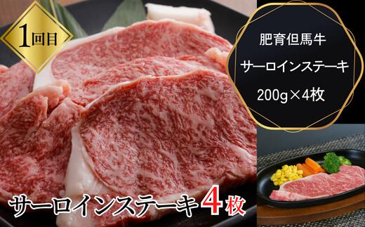 【ふるさと納税】A4ランク以上 但馬牛 肉 プレミアム 定期便 5ヶ月 ステーキ 切落し 焼肉 スライス 全5回 定期便 合計3.1kg以上 ハンバーグ コロッケ サーロインステーキ 赤身 ヒレステーキ 牛肉 牛 定期 焼き肉 にく お肉 国産 和牛 黒毛和牛 計5回 美味しい 冷凍 02-30