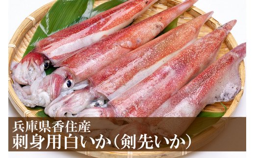 【ふるさと納税】先行予約 送料無料 剣先いか 5～8杯 約1kg～ いか お刺身 イカゲソ イカそうめん イカ刺し 海鮮 お取り寄せ グルメ 恵方巻 海鮮丼 寿司 寿し 肴 食べ物 プレゼント 6月下旬～9月中旬頃発送予定 33-07