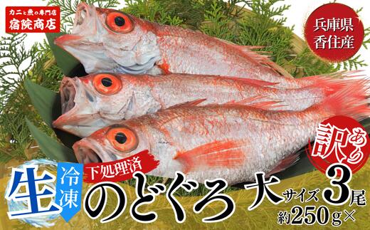 38位! 口コミ数「0件」評価「0」調理済 香住産 のどぐろ 大サイズ 3匹 (生 冷凍) 1匹約250g前後 計約700～800g アカムツ 高級魚 鮮魚 魚 魚介 魚介類 ･･･ 