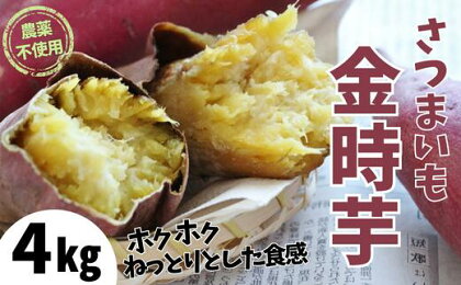 【先行予約】ホクホクで甘い 金時芋 4kg さつまいも 農薬不使用 サツマイモ 生芋 おいしい 甘い 金時いも 薩摩 芋 焼き芋 きんときいも 天ぷら 煮物 焼き芋 干し芋 干しいも 生 イモ 秋 野菜 正月 おせち 兵庫県 香美町 むらおか夢アグリ 41-12