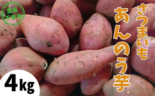 【ふるさと納税】【先行予約】あま～い蜜がたっぷり 安納芋 4kg さつまいも 農薬不使用 サツマイモ 生芋 ねっとり おいしい 甘い あんのう芋 薩摩 芋 焼き芋 ギフト やきいも 焼芋 干し芋 干しいも 生 秋 野菜 兵庫県 香美町 むらおか夢アグリ 11月中旬以降順次発送 41-13