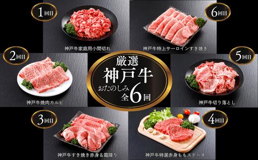 ＼A4ランク以上/ 定期便 全6回 平山牛舗の厳選「神戸牛」食べ比べ 小間切れ/焼肉バラ/すき焼き 赤身&霜降り/特選赤身ももステーキ/切り落とし/特上サーロイン すき焼き お肉 牛肉 焼肉 すき焼き ステーキ 神戸ビーフ 食べ比べ[6ヶ月連続お届け]冷凍 61-14