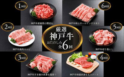 ＼A4ランク以上／ 定期便 全6回 平山牛舗の厳選「神戸牛」食べ比べ 小間切れ/焼肉バラ/すき焼き 赤身&霜降り/特選赤身ももステーキ/切り落とし/特上サーロイン すき焼き お肉 牛肉 焼肉 すき焼き ステーキ 神戸ビーフ 食べ比べ【6ヶ月連続お届け】冷凍 61-14