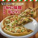 【ふるさと納税】兵庫県産かに味噌ピッツァ【蟹屋が作る海鮮イタリアン】カニ本来の優しい甘みと芳醇な香りが楽しめる一品! 海鮮グルメ イタリアン ピッツァ 冷凍食品 紅ズワイガニ ピザ グルメ 惣菜 パーティ かに 冷凍ピザ pizza 19-15 送料無料