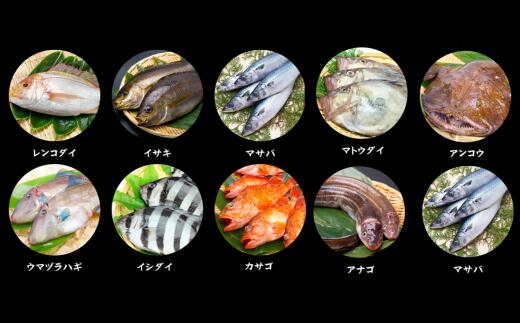【ふるさと納税】旬の地魚セット 4～5種 1.5kg～2kg 送料無料 天然 魚介類 冷蔵 海鮮 海鮮セット 魚 鮮魚セット 詰め合わせ 海の幸 旬 おまかせ お刺身 煮魚 焼魚 フライ 家族 内祝い ツバス サザエ ハタハタ イカ カレイ 朝どれ ウロコ・内臓除去可 33-11 f285854-kami-10000210 兵庫県香美町 サンプル画像3