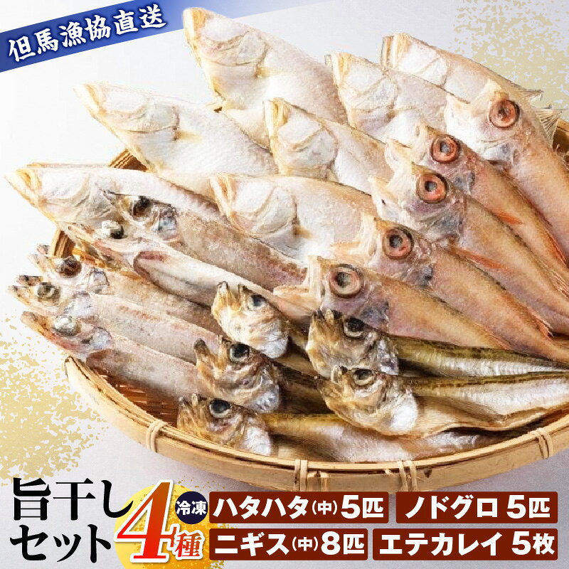 旨干しセット 【4種】 冷凍 ハタハタ エテカレイ ニギス ノドグロ 干物 セット 詰め合わせ 魚 魚介類 海鮮 冷凍保存 簡単 調理 おかず ごはん お酒 おつまみ 肴 アテ あて はたはた かれい にぎす のどぐろ 兵庫県 香美町 03-19 送料無料