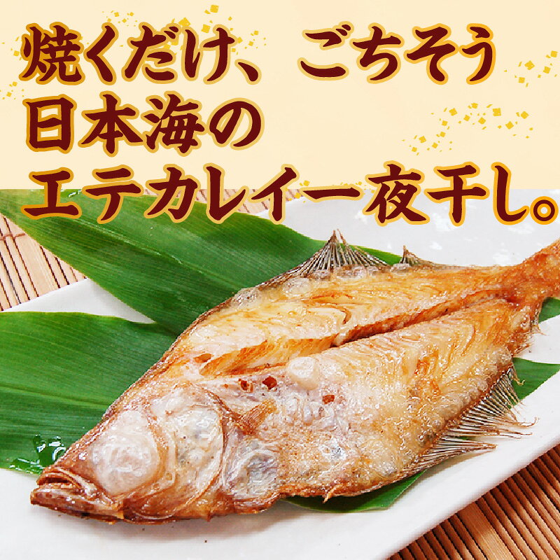 【ふるさと納税】 山陰名産 エテカレイ 一夜干し 冷凍 【6枚】 天然塩のみ 仕上げ 昔ながら 干物 えてかれい 海鮮 名産品 魚 グルメ お取り寄せ おつまみ おかず ごはん 酒の肴 産地直送 自慢の返礼品 兵庫県 香美町 冷凍便 BBQ 魚介 74-11 送料無料 f285854-kami-10000767 兵庫県香美町 サンプル画像2