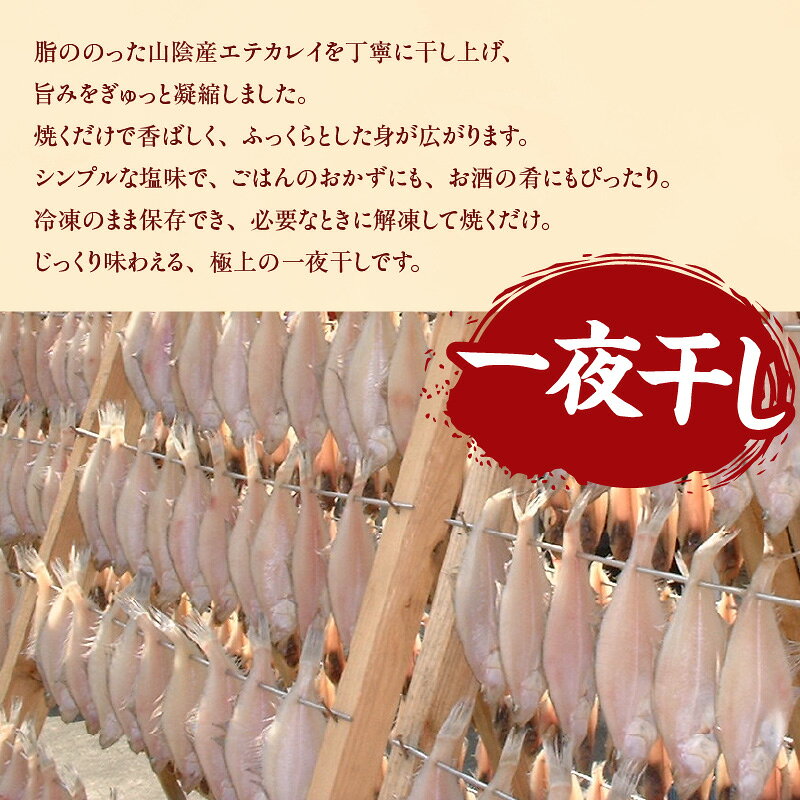 【ふるさと納税】 山陰名産 エテカレイ 一夜干し 冷凍 【6枚】 天然塩のみ 仕上げ 昔ながら 干物 えてかれい 海鮮 名産品 魚 グルメ お取り寄せ おつまみ おかず ごはん 酒の肴 産地直送 自慢の返礼品 兵庫県 香美町 冷凍便 BBQ 魚介 74-11 送料無料 f285854-kami-10000767 兵庫県香美町 サンプル画像3