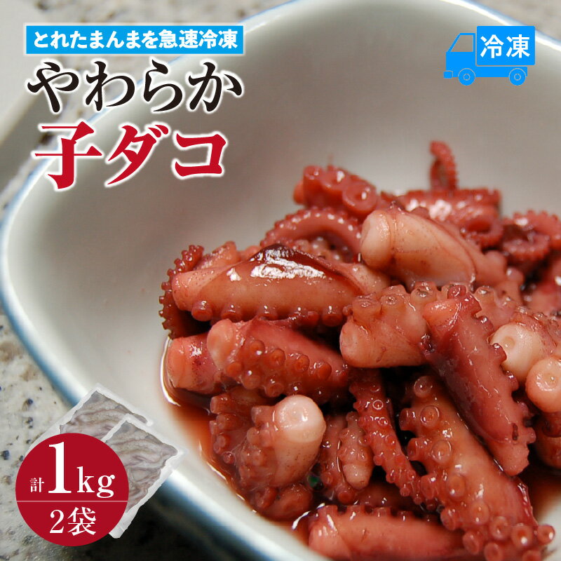 ＼とれたまんまを急速冷凍/ やわらか子ダコ[500g×2袋 1kg]冷凍 国産小だこ生 真空パック 使い方いろいろ 便利 海の幸 たこ飯 たこ 兵庫県 香美町 74-28 送料無料