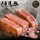 【ふるさと納税】A5ランク 肥育 但馬牛 サーロインステーキ 300g ヒレステーキ 300g 計600g 送料無料 牛肉 食べ比べ 黒毛和牛 フィレ ヘレ 経産牛 焼肉 霜降り 肉 ステーキ肉 国産牛 BBQ ヒレ …