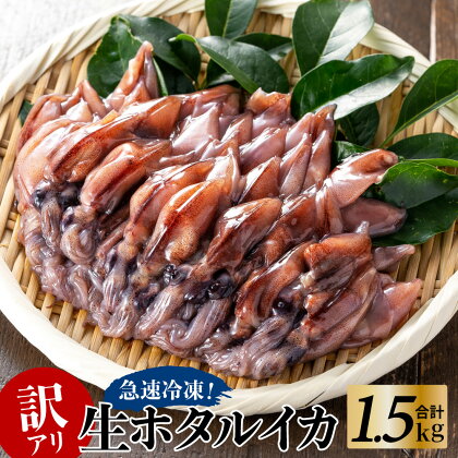 訳あり 生ほたるいか 250g×6パック 送料無料 1.5kg ホタルイカ 冷凍 兵庫県 香住産 いか イカ 烏賊 家飲み 海鮮 刺身 刺し身 生食 しゃぶしゃぶ 醤油漬け 沖漬け グルメ ギフト 07-02 (不揃い 規格外 傷 胴体と足が離れている場合あり)