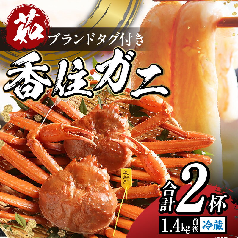 【ふるさと納税】香住ガニ タグ付き 2杯 ボイル 送料無料 700g前後×2 1.4kg 入金確認後、順次発送予定 海鮮 かに 紅ズワイガニ 脚 蟹爪 ギフト かにしゃぶ カニすき かに鍋 ギフト 鍋 蟹味噌 甲羅焼き 焼きガニ 焼き蟹 兵庫県 11-04