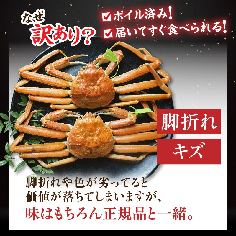 【ふるさと納税】【先行予約】訳あり 釜茹で松葉がに タグ付き【500g✕2匹】※数量限定 調理不要ですぐ食べられる！冷凍便 07-137 ボイル かに 蟹 グルメ ズワイガニ 新鮮 カニの本場 兵庫県 香美町 日本海フーズ 訳アリ カニ【令和7年11月中旬以降、順次発送予定】送料無料