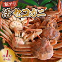 商品画像2
