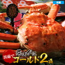 【ふるさと納税】【先行予約】 浜茹で柴山ゴールド【2匹入】\柴山がに・ゴールドタグ付きが一度に2匹も揃う奇跡/カニ 冷蔵 かに 高級かに ズワイガニ ボイル か...