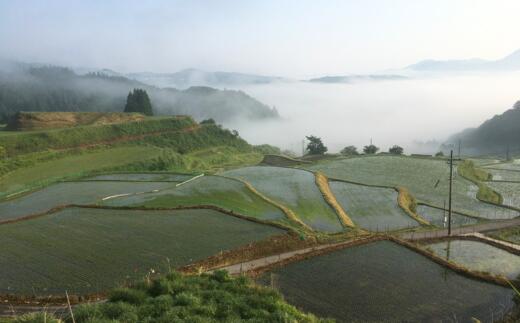 【ふるさと納税】＼先行予約／ 令和8年産 「とろかわの恋」 香美町産 コシヒカリ 精米【10kg（5kg×2）】 数量限定 特別栽培米 【令和8年10月中旬以降発送予定】 お米 白米 新米 こしひかり 但馬堆肥米 岡田久志 ライス 10kg 兵庫県 香美町 91-01 送料無料 f285854-kami-10000945 兵庫県香美町 サンプル画像2