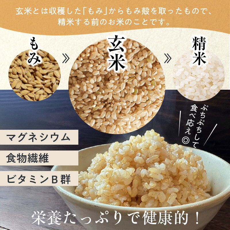 【ふるさと納税】《令和8年産米 先行予約》 香美町産 新米 コシヒカリ 玄米 【10kg （5kg×2袋）】 節減対象農薬5割減 ★特別栽培米★ 化学肥料不使用 【令和8年10月中旬以降発送予定】 冷めても美味しい 米 精米 新米 予約 人気 ご飯 白米 こしひかり 82-02 送料無料