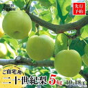 【ふるさと納税】【先行予約】梨 【20世紀梨 ご自宅用 5kg サイズ L~5L混合(10~18玉)】ご自宅用 不揃い 訳あり 返礼品 二十世紀梨 日本海に面す...