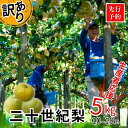 【ふるさと納税】【先行予約】【訳あり】梨 【20世紀梨 5kg サイズバラつき有り L~5L】\ 生産者応援商品 / 不揃い 台風で落下した梨やカメムシ被害を受...