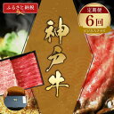 【ふるさと納税】\厳選した美味しい神戸ビーフ/ 神戸牛 定期便「ビジネスクラス」(定期便全6回 総量4500g)和牛セレブ 冷凍 58-24