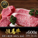 【ふるさと納税】A5ランク 肥育 但馬牛 サーロインステーキ 300g ヒレステーキ 300g 計600g 4枚 送料無料 牛肉 食べ比べ 黒毛和牛 フィレ ヘ...