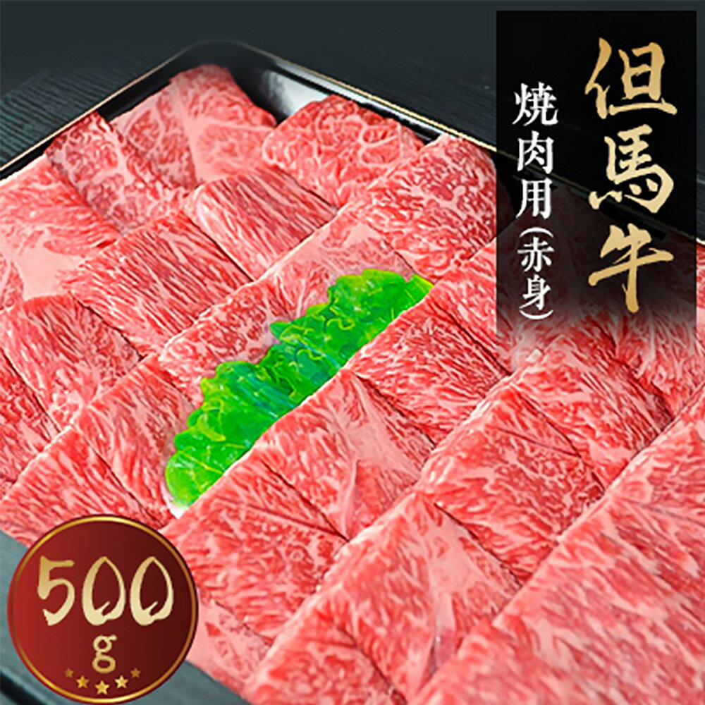 但馬牛 【ふるさと納税】但馬牛　焼き肉用(赤身　500g)【配送不可地域：離島】【1072498】