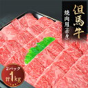 但馬牛 【ふるさと納税】但馬牛　焼き肉用(赤身　1kg)【配送不可地域：離島】【1072499】