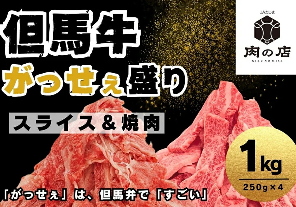 【ふるさと納税】但馬牛 がっせぇ盛り（スライス＆焼肉用・1kg）250g 2種 各2パック 合計4パック 小分け 肉 牛肉 お肉 スライス 薄切り 食べ比べ セット 赤身 バラ バラ肉 ばら 国産 黒毛和牛 和牛 焼肉 焼き肉 BBQ お取り寄せ 冷凍 兵庫県 新温泉町 送料無料